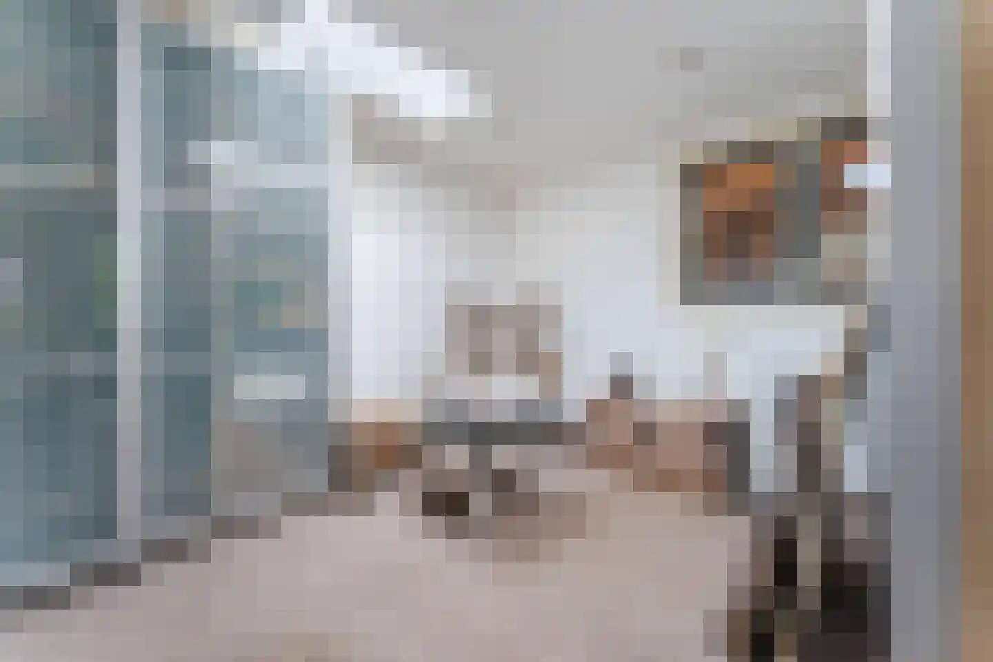 Willem de Zwijgerlaan 65 Castricum thumbnail 30