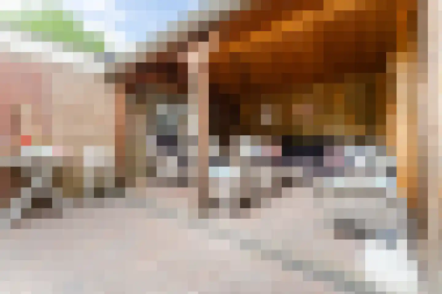 Willem de Zwijgerlaan 65 Castricum thumbnail 32