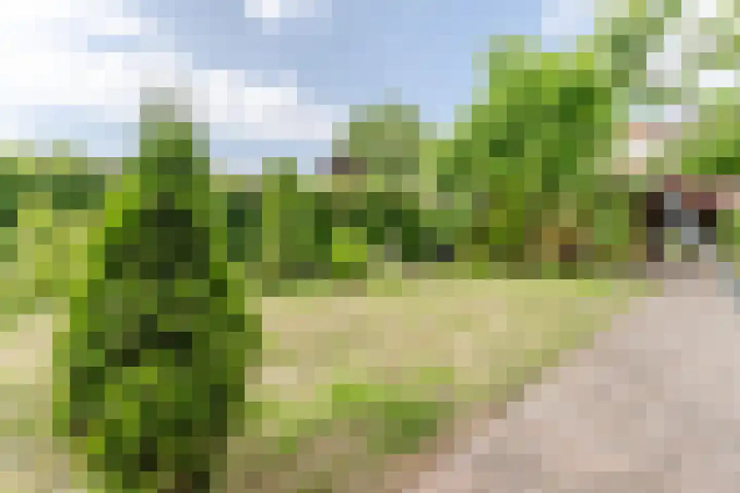 Willem de Zwijgerlaan 65 Castricum thumbnail 34