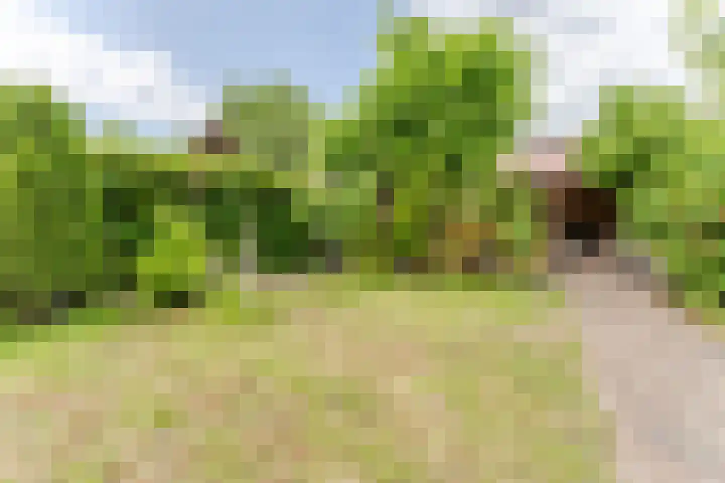 Willem de Zwijgerlaan 65 Castricum thumbnail 35
