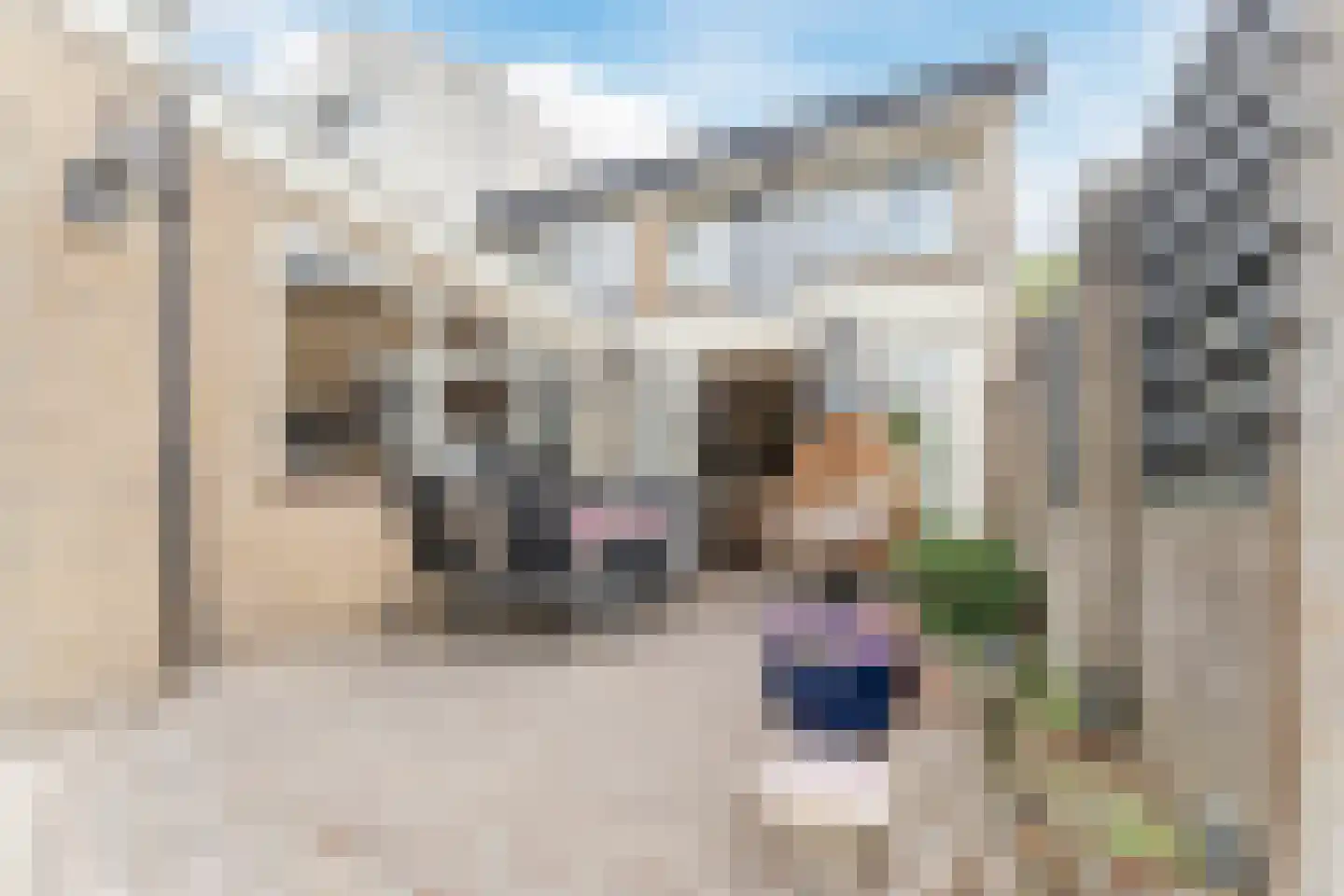 Willem de Zwijgerlaan 65 Castricum thumbnail 37