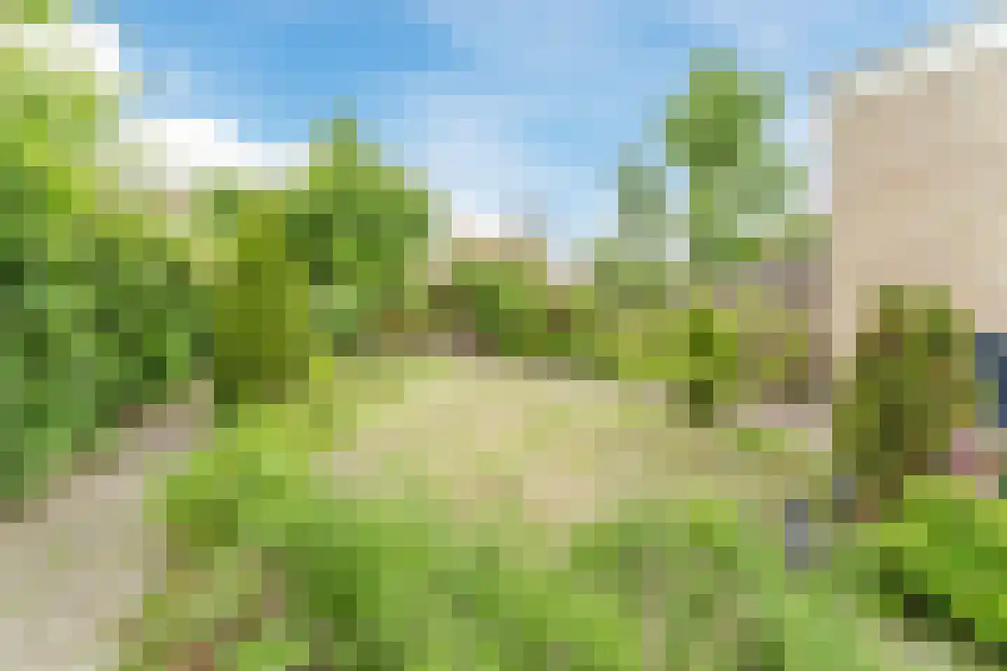 Willem de Zwijgerlaan 65 Castricum thumbnail 38