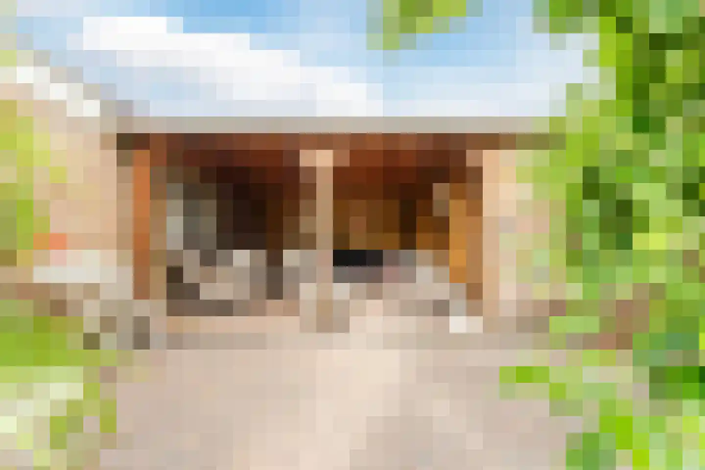 Willem de Zwijgerlaan 65 Castricum thumbnail 4