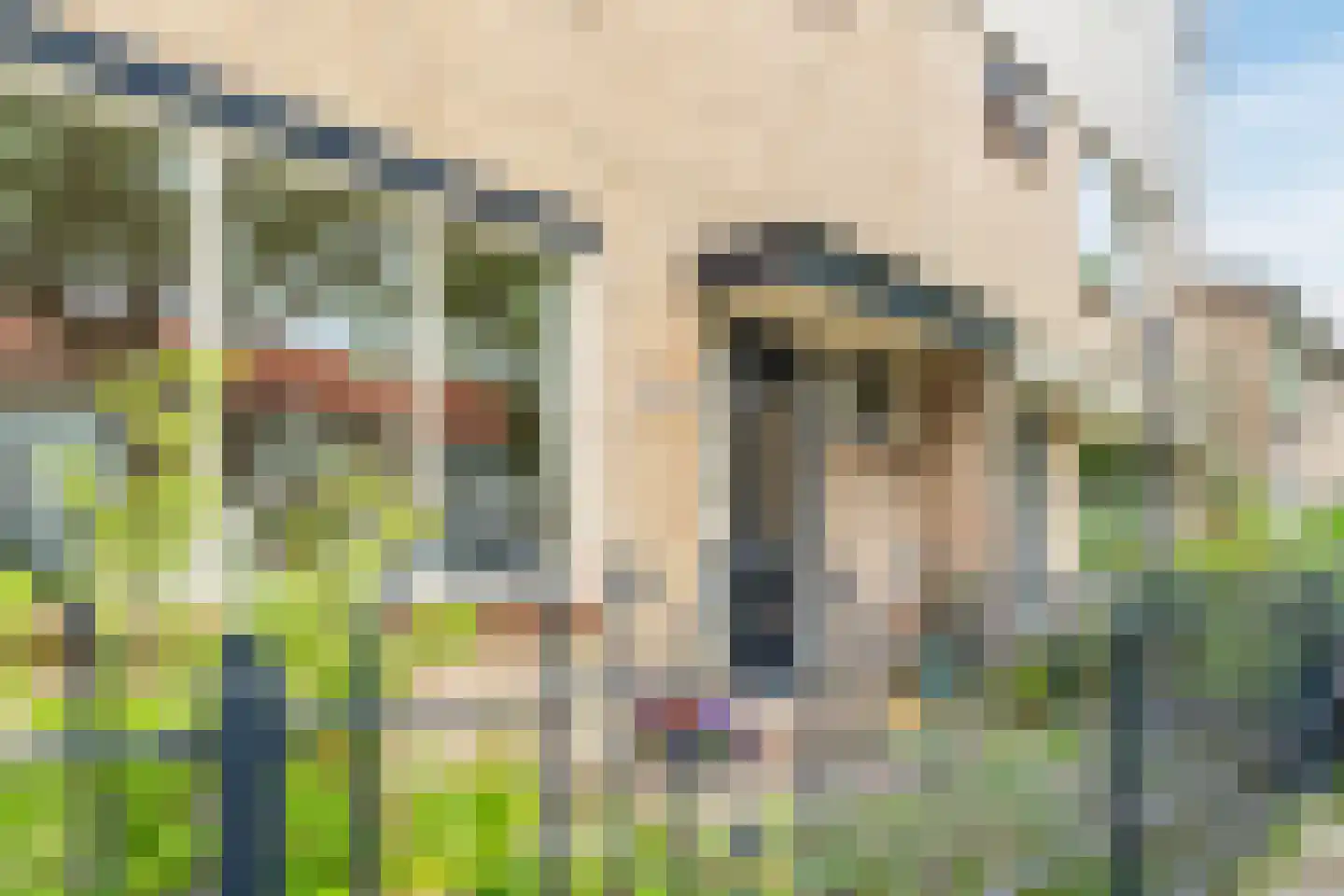 Willem de Zwijgerlaan 65 Castricum thumbnail 43