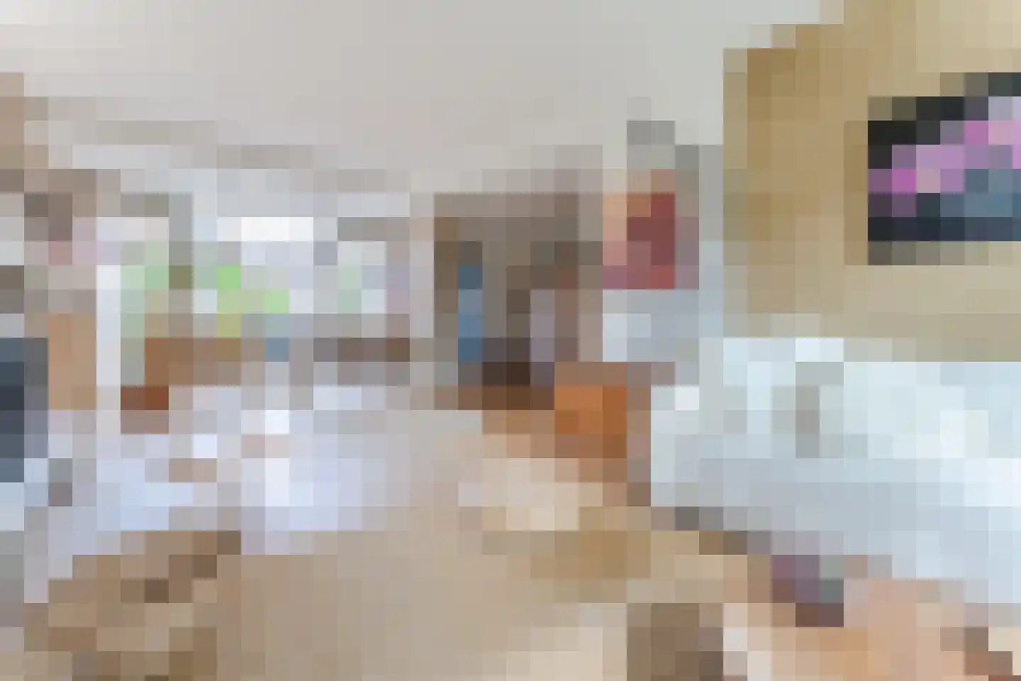 Willem de Zwijgerlaan 65 Castricum thumbnail 8