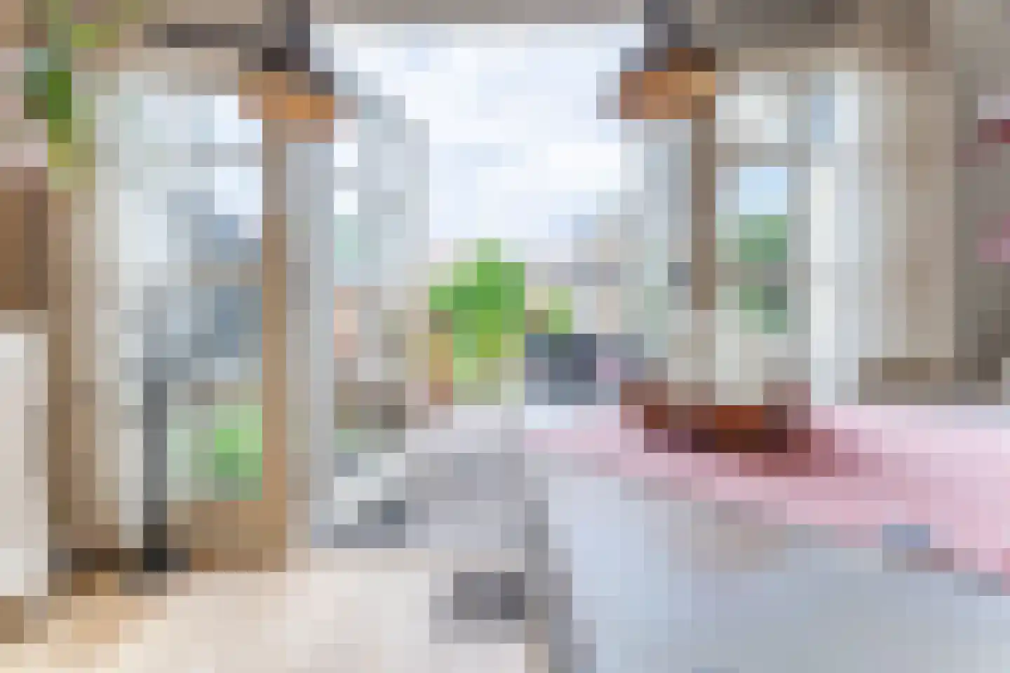 Willem de Zwijgerlaan 65 Castricum thumbnail 9
