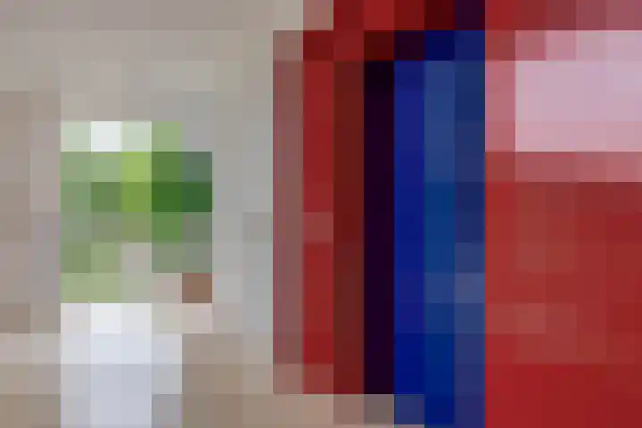 Willem de Zwijgerlaan 65 Schiedam thumbnail 10