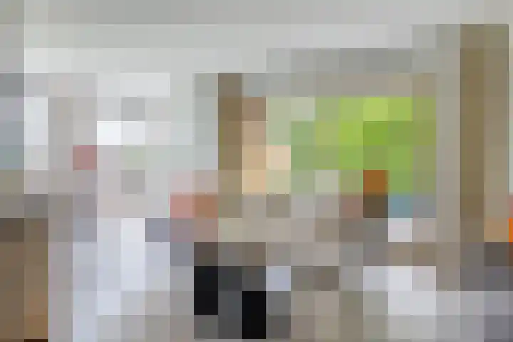 Willem de Zwijgerlaan 65 Schiedam thumbnail 15