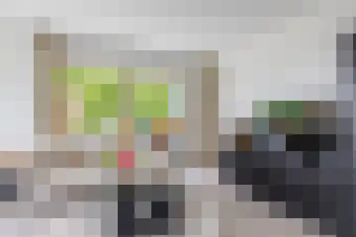 Willem de Zwijgerlaan 65 Schiedam thumbnail 16