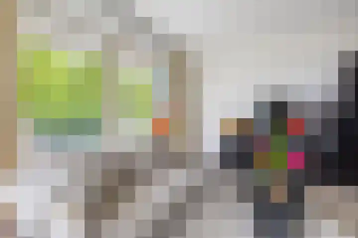Willem de Zwijgerlaan 65 Schiedam thumbnail 17