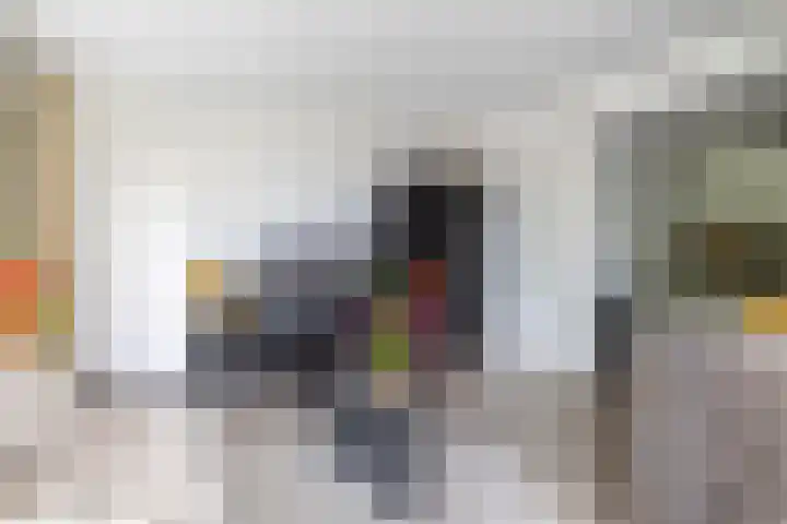 Willem de Zwijgerlaan 65 Schiedam thumbnail 18