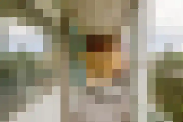 Willem de Zwijgerlaan 65 Schiedam thumbnail 22