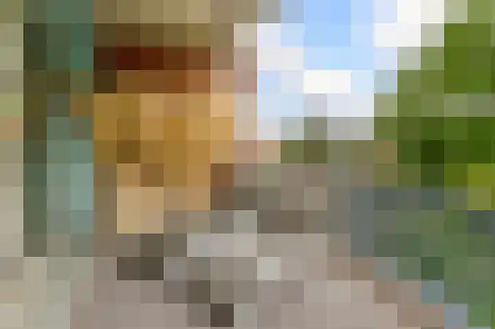 Willem de Zwijgerlaan 65 Schiedam thumbnail 23