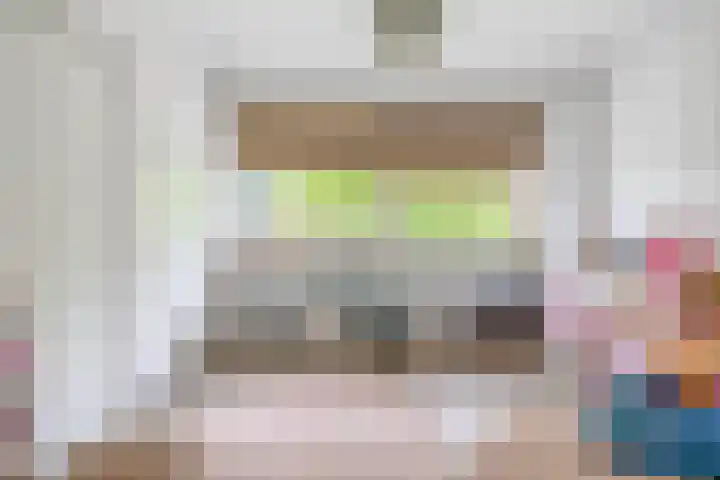 Willem de Zwijgerlaan 65 Schiedam thumbnail 30