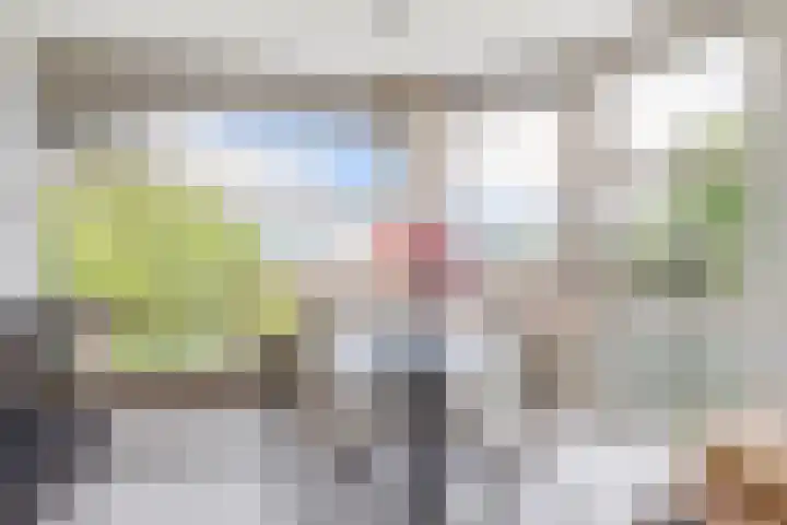 Willem de Zwijgerlaan 65 Schiedam thumbnail 31