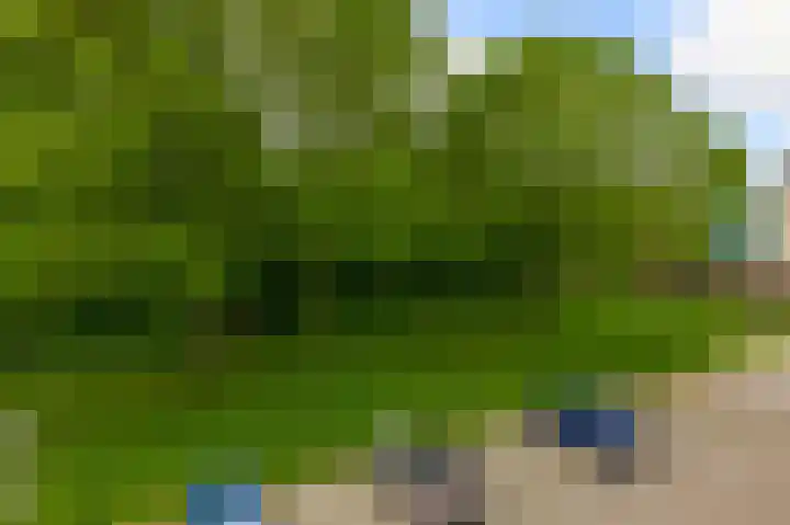 Willem de Zwijgerlaan 65 Schiedam thumbnail 32