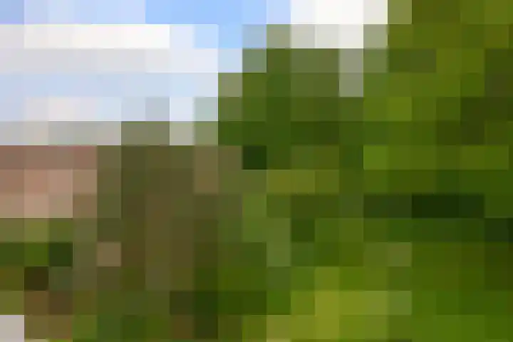 Willem de Zwijgerlaan 65 Schiedam thumbnail 33