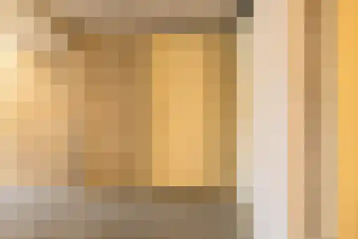 Willem de Zwijgerlaan 65 Schiedam thumbnail 34