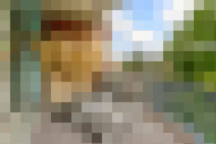 Willem de Zwijgerlaan 65 Schiedam thumbnail 4