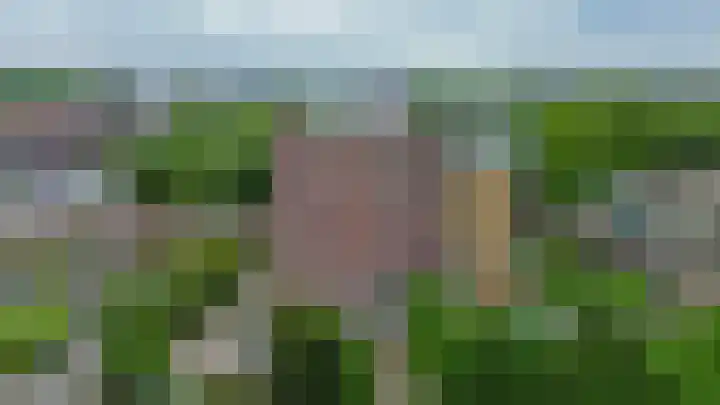 Willem de Zwijgerlaan 65 Schiedam thumbnail 6