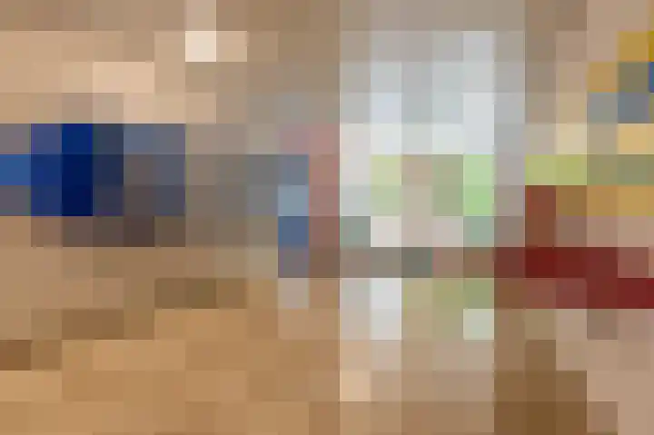 Willem de Zwijgerlaan 65 Schiedam thumbnail 8