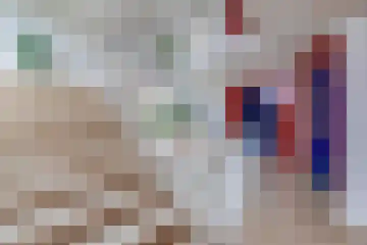 Willem de Zwijgerlaan 65 Schiedam thumbnail 9