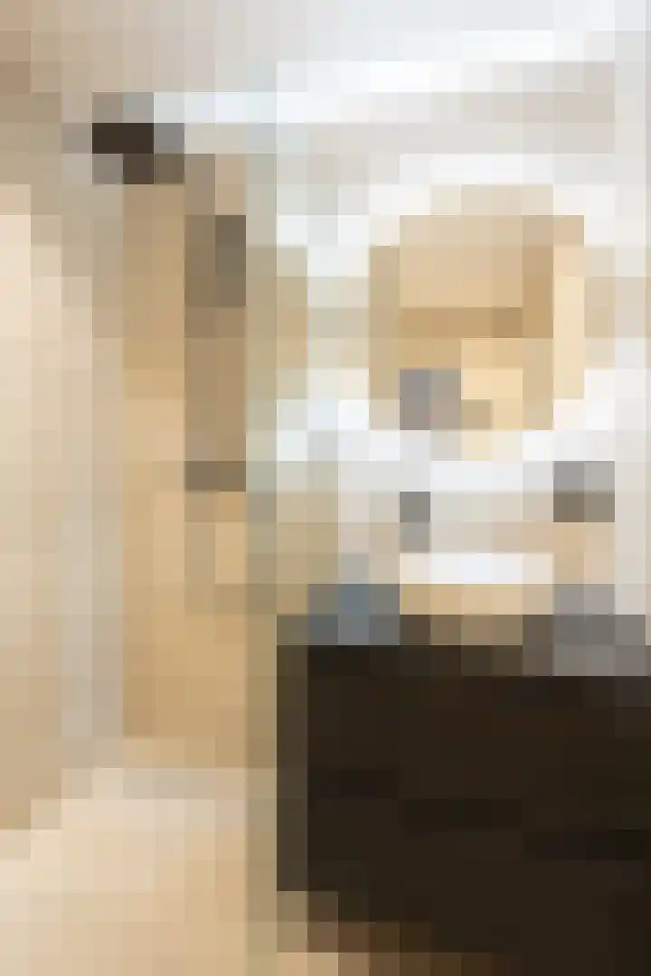 Willem de Zwijgerlaan 66 2 Amsterdam thumbnail 10