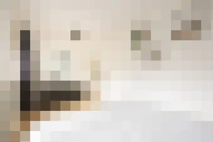 Willem de Zwijgerlaan 66 2 Amsterdam thumbnail 14