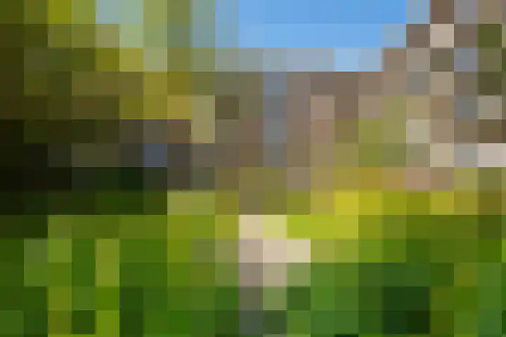 Willem de Zwijgerlaan 66 2 Amsterdam thumbnail 20