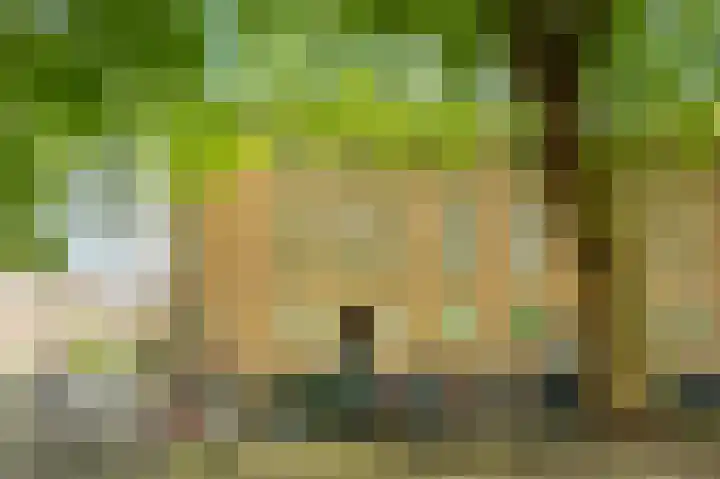 Willem de Zwijgerlaan 66 2 Amsterdam thumbnail 32