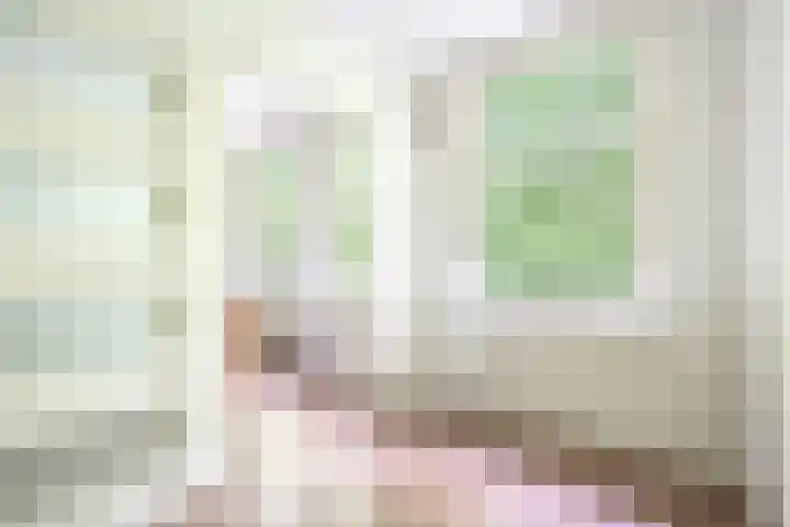 Willem de Zwijgerlaan 66 2 Amsterdam thumbnail 6