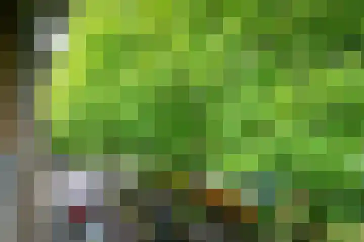 Willem de Zwijgerlaan 66 2 Amsterdam thumbnail 7