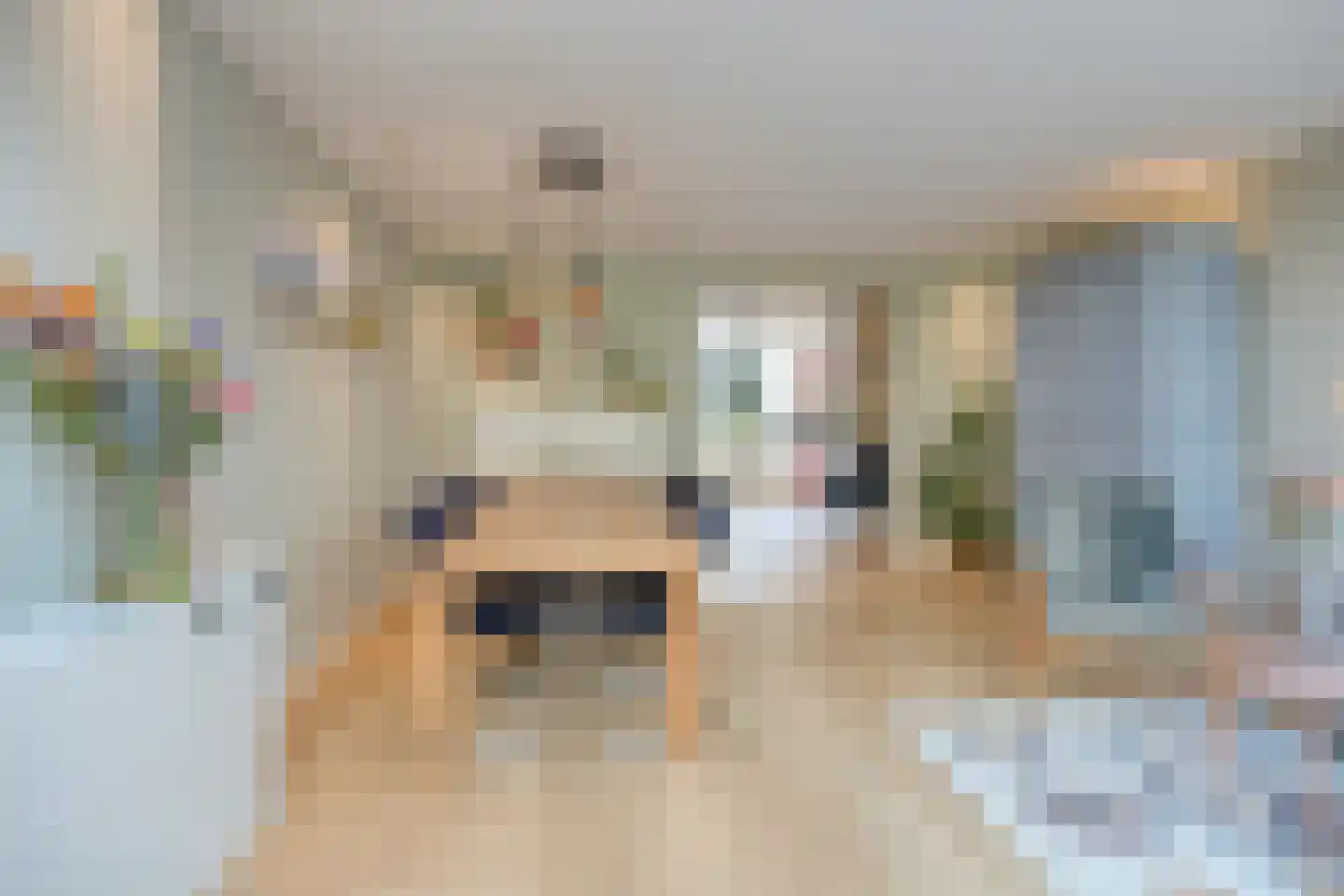 Willem de Zwijgerlaan 66 Voorschoten thumbnail 13