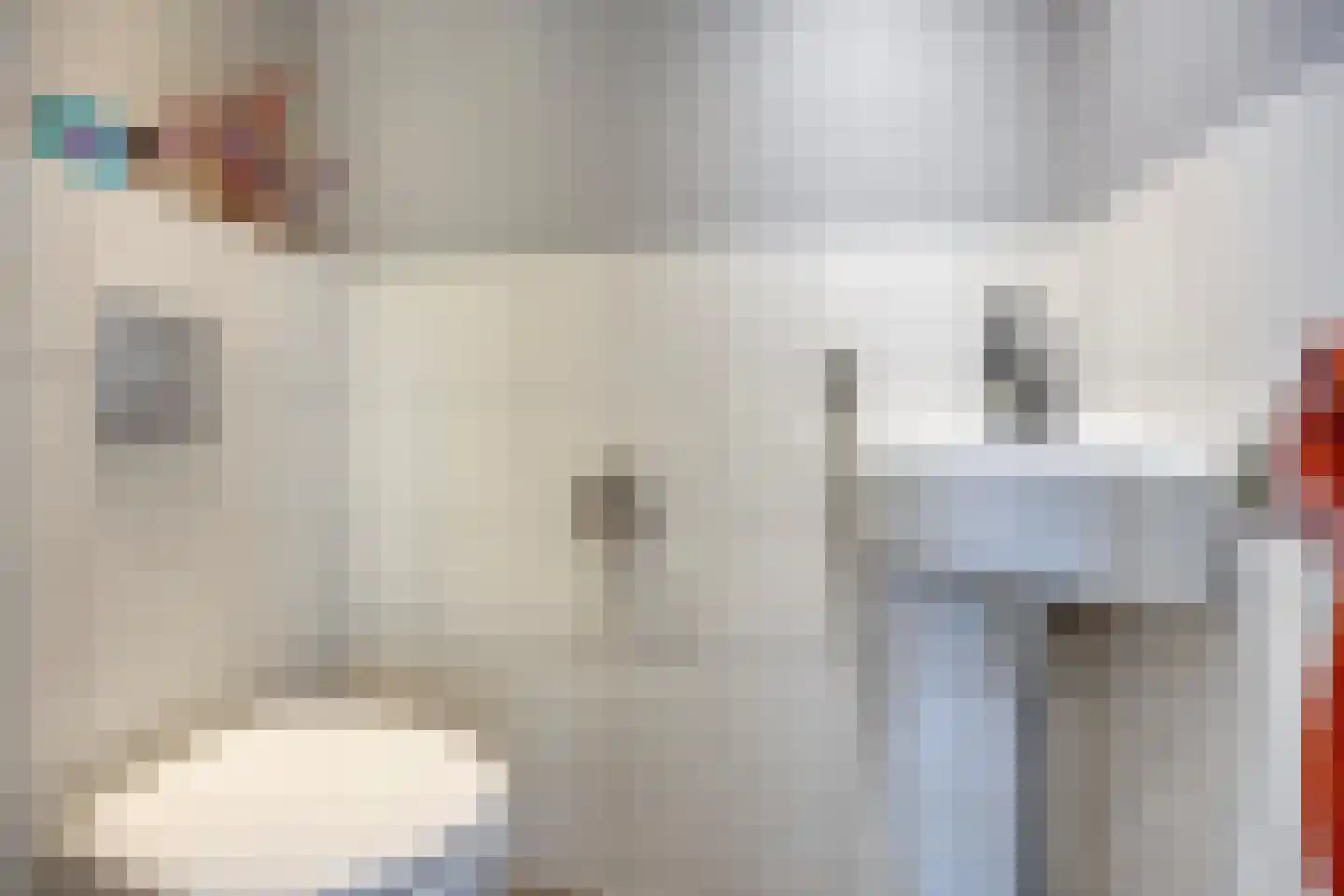 Willem de Zwijgerlaan 66 Voorschoten thumbnail 19