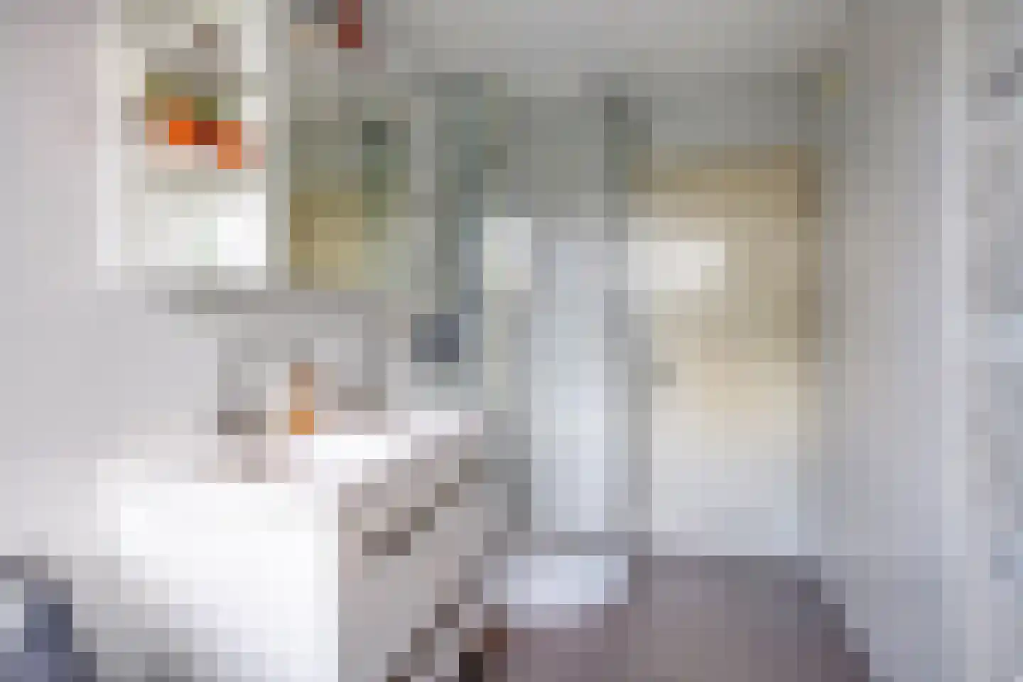 Willem de Zwijgerlaan 66 Voorschoten thumbnail 36