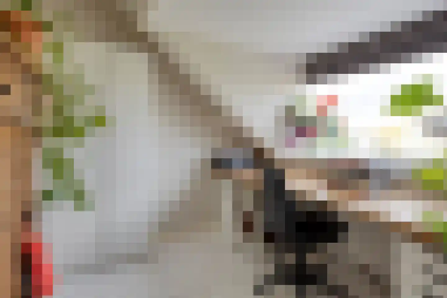 Willem de Zwijgerlaan 66 Voorschoten thumbnail 47