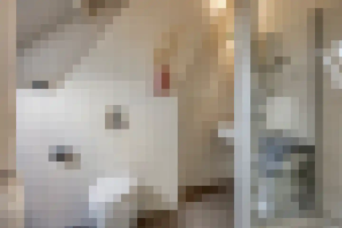 Willem de Zwijgerlaan 66 Voorschoten thumbnail 48