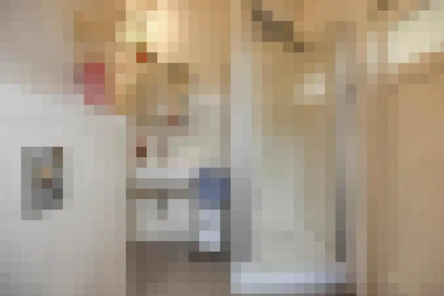 Willem de Zwijgerlaan 66 Voorschoten thumbnail 49