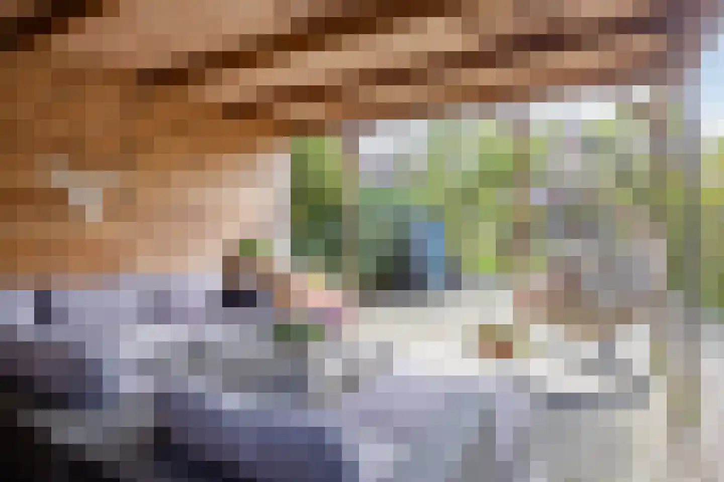 Willem de Zwijgerlaan 66 Voorschoten thumbnail 5