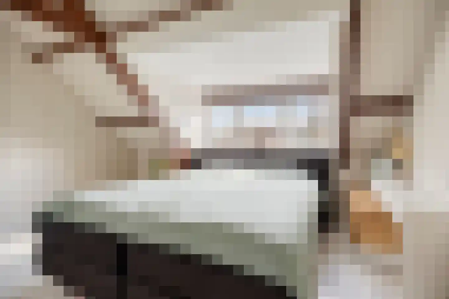 Willem de Zwijgerlaan 66 Voorschoten thumbnail 51