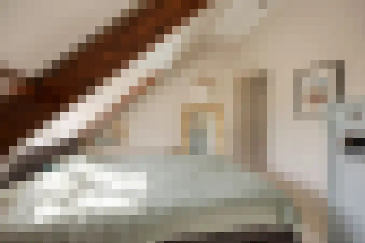 Willem de Zwijgerlaan 66 Voorschoten thumbnail 53