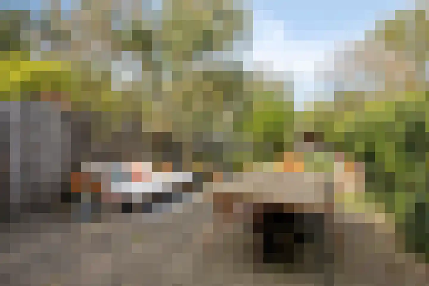Willem de Zwijgerlaan 66 Voorschoten thumbnail 57