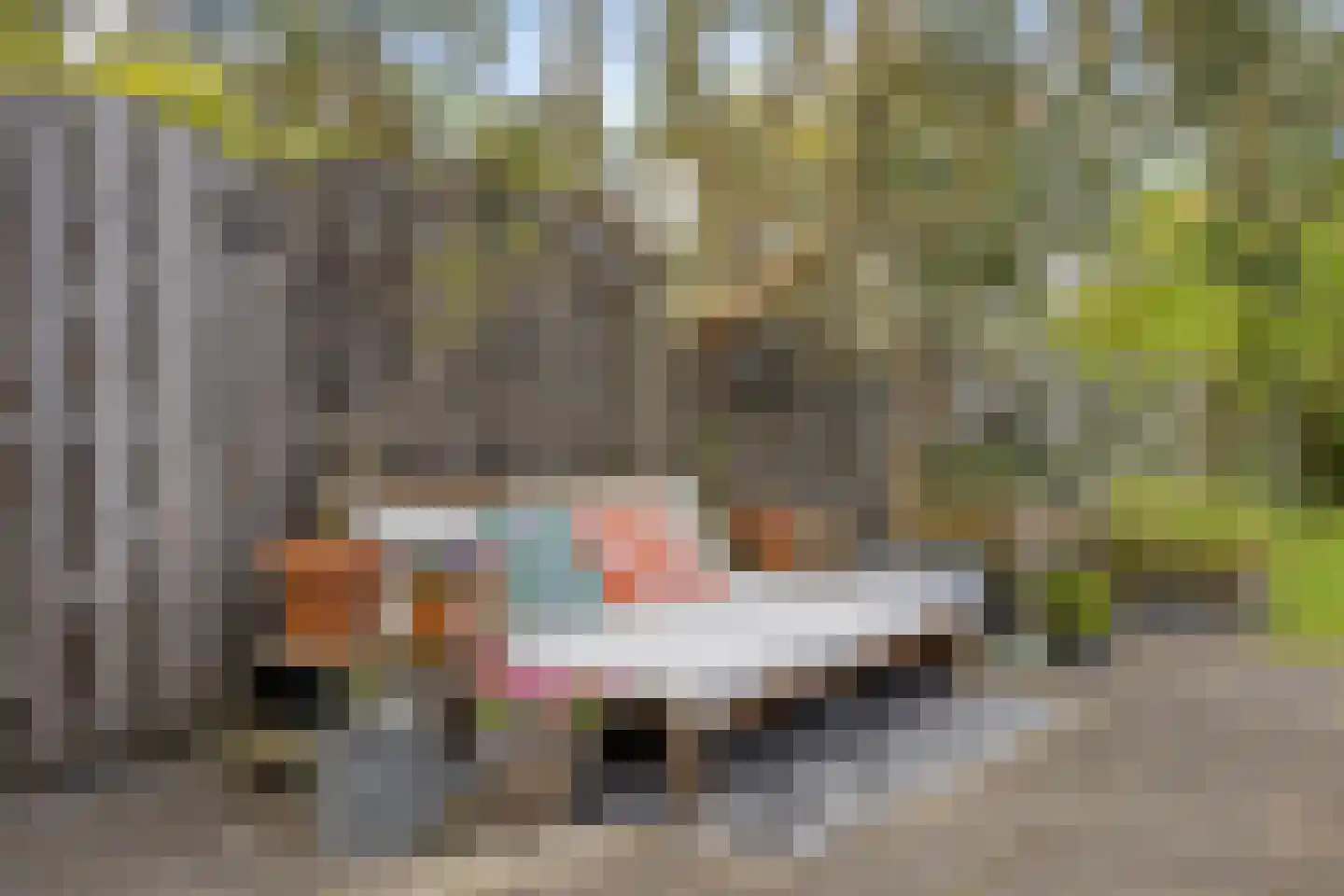 Willem de Zwijgerlaan 66 Voorschoten thumbnail 58