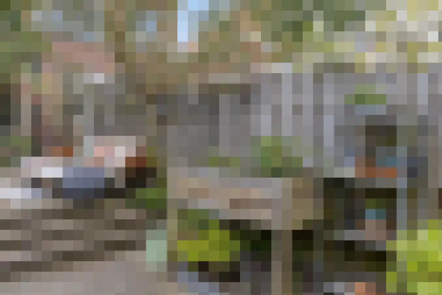 Willem de Zwijgerlaan 66 Voorschoten thumbnail 59