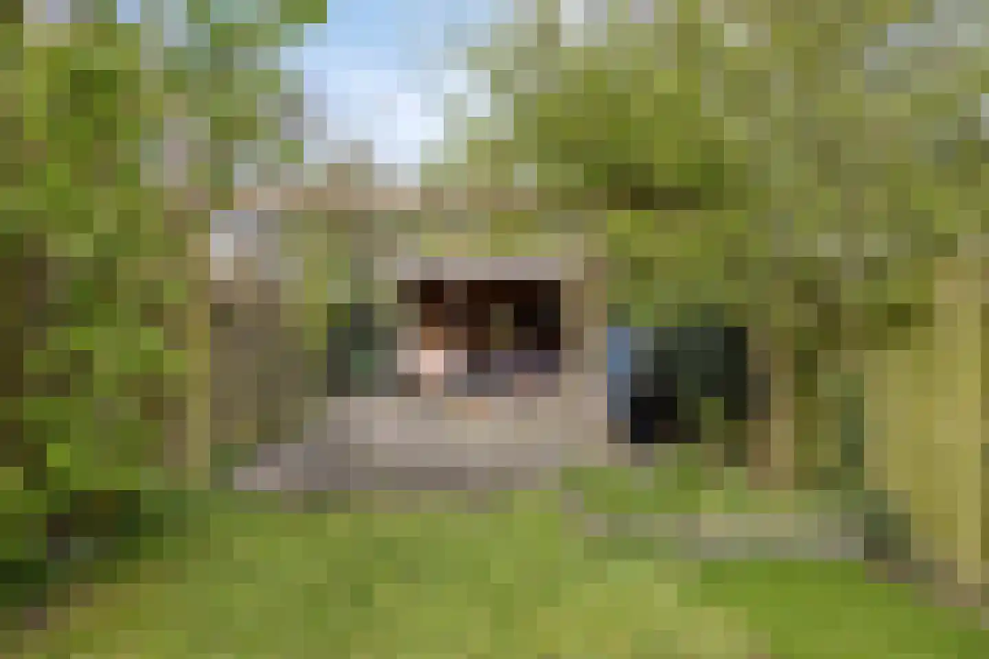Willem de Zwijgerlaan 66 Voorschoten thumbnail 62