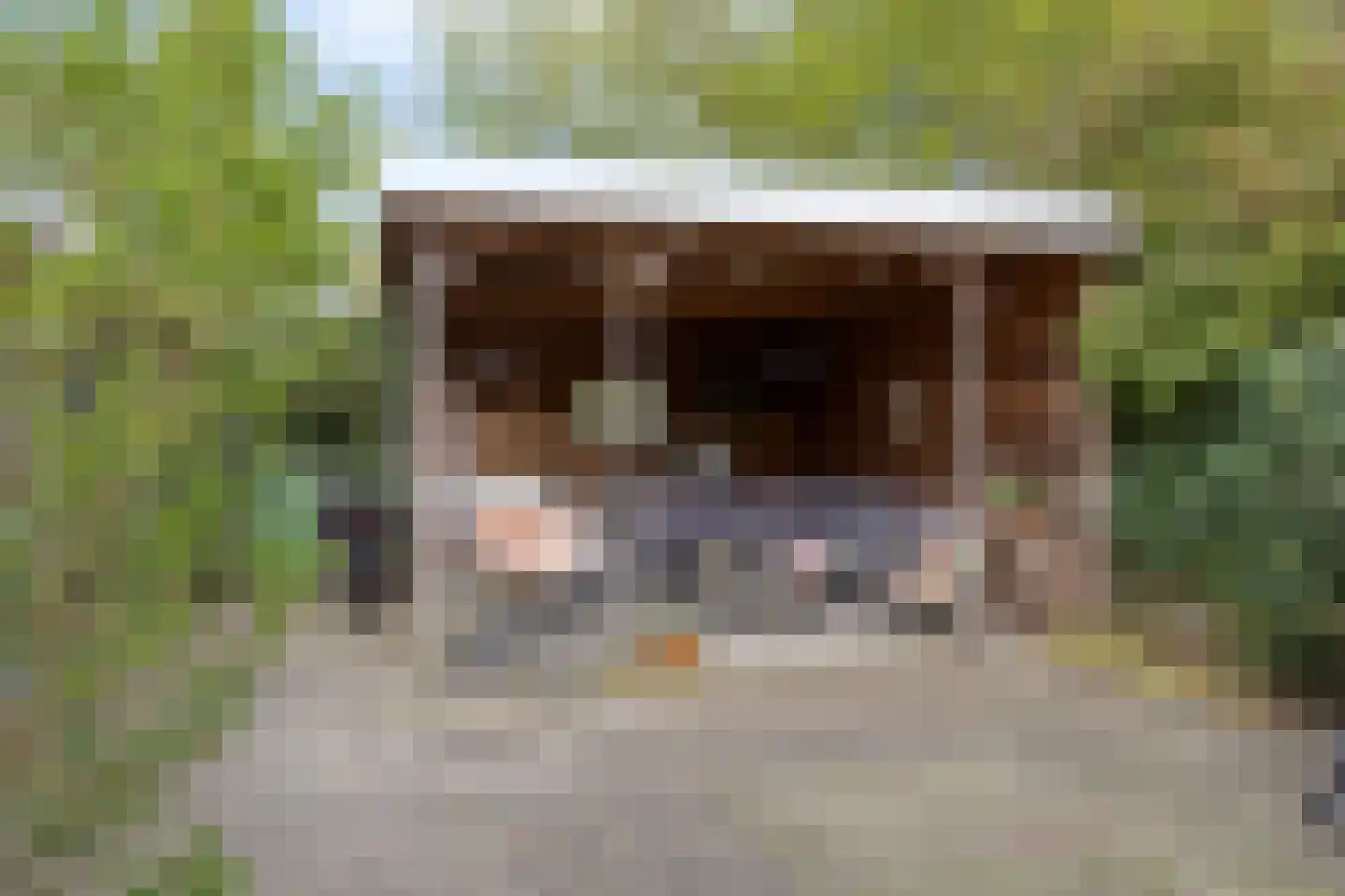 Willem de Zwijgerlaan 66 Voorschoten thumbnail 63