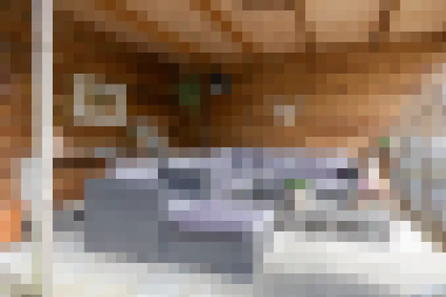 Willem de Zwijgerlaan 66 Voorschoten thumbnail 65