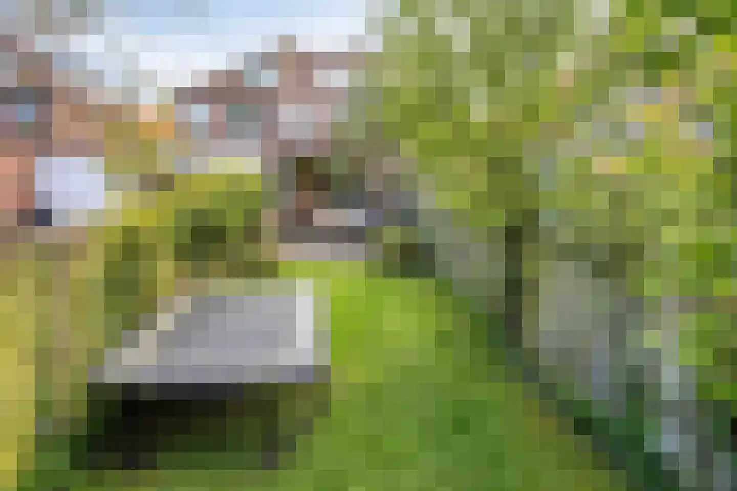 Willem de Zwijgerlaan 66 Voorschoten thumbnail 76
