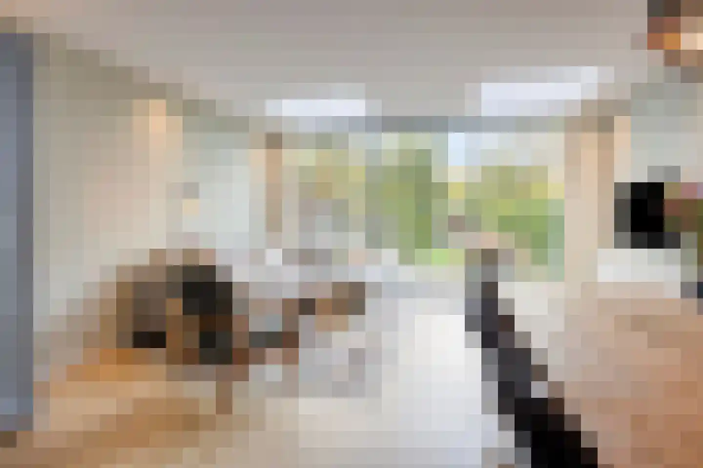 Willem de Zwijgerlaan 66 Voorschoten thumbnail 8