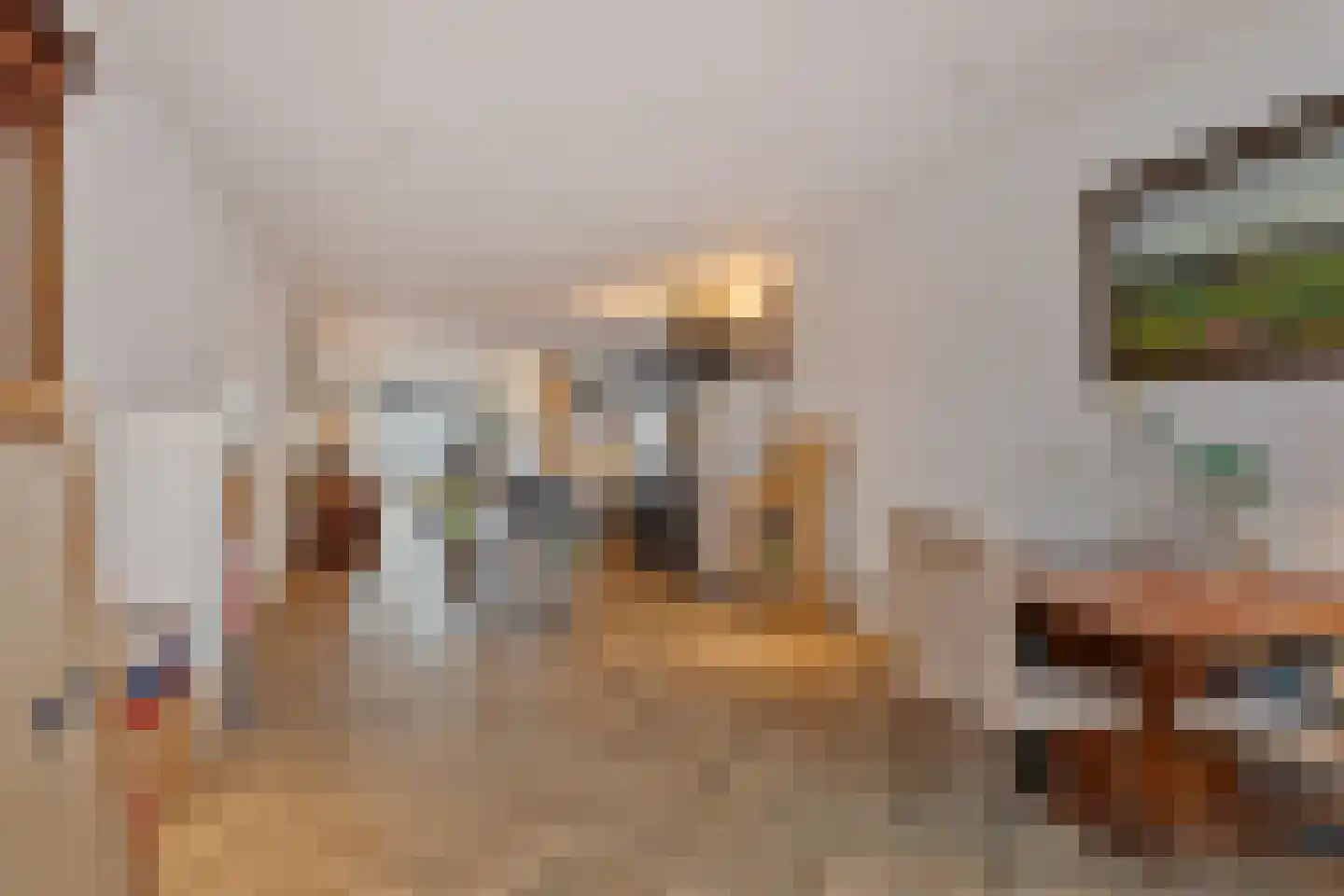 Willem de Zwijgerlaan 68 Den Haag thumbnail 15